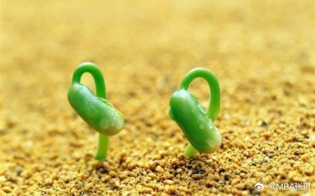 Life is a shipwreck but we must not forg
