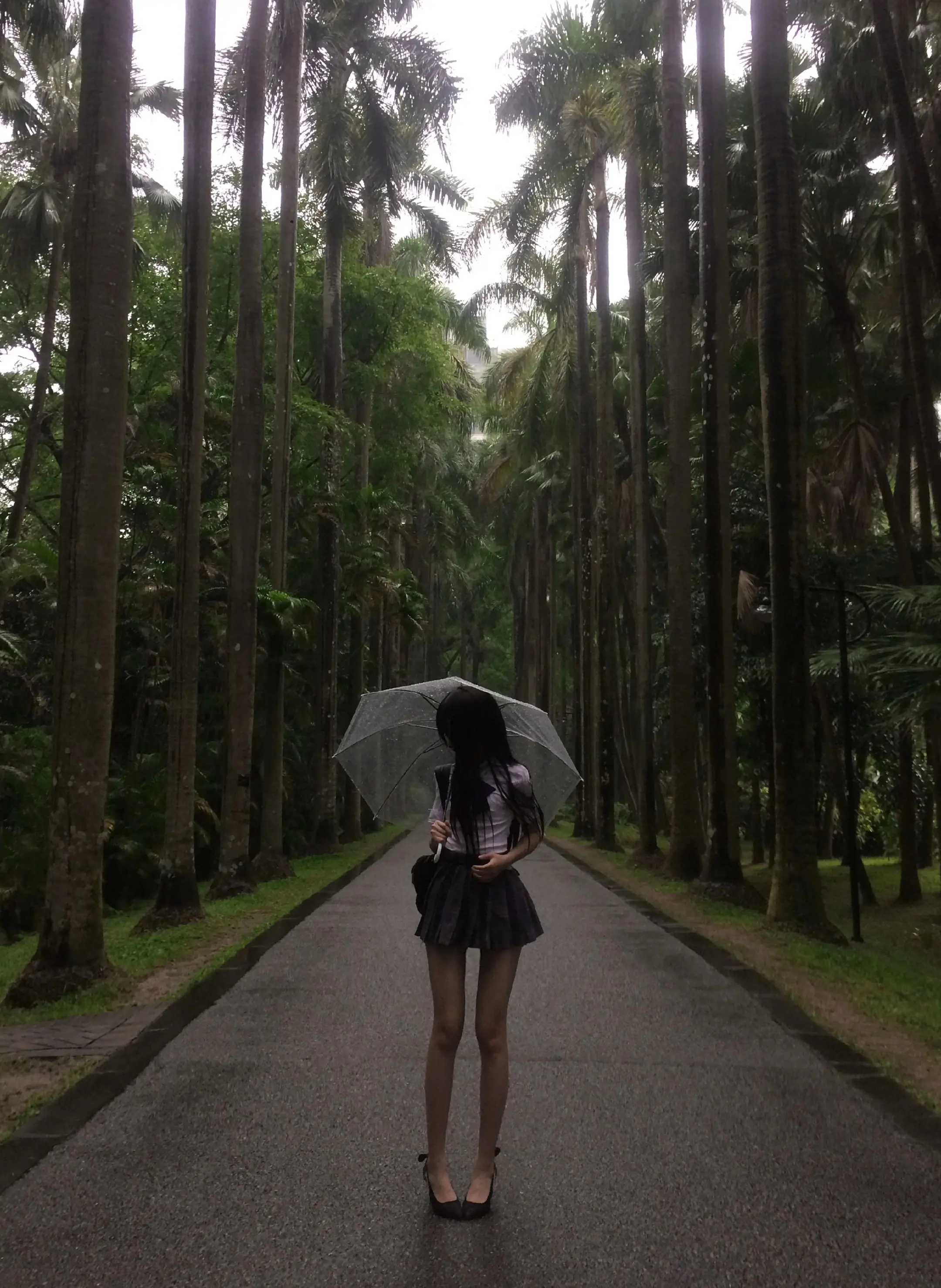慢步行 雨落洗尽一身尘