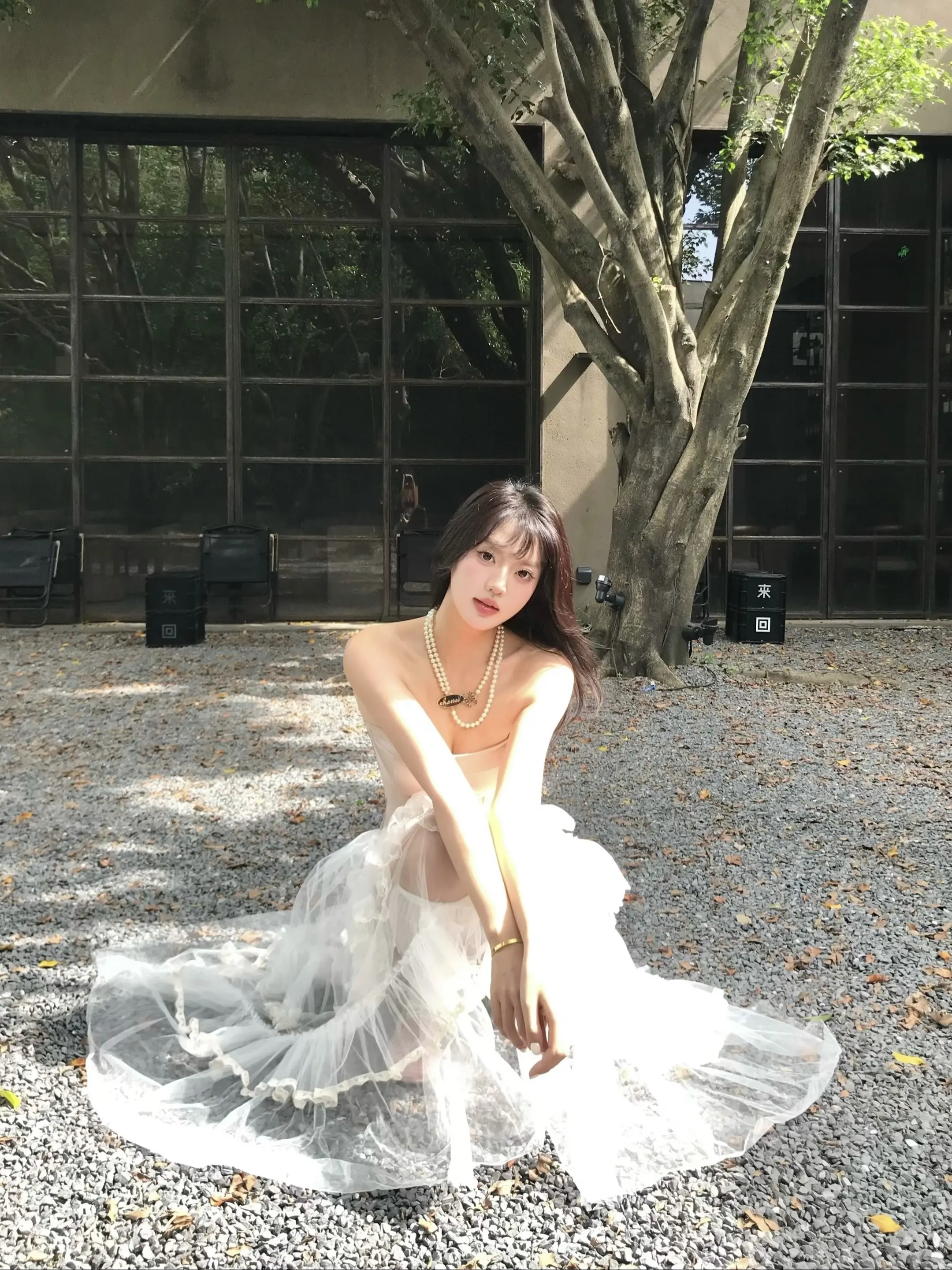发光☀️而不是被照亮。