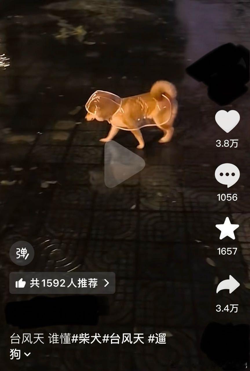 3036【】看弹幕 