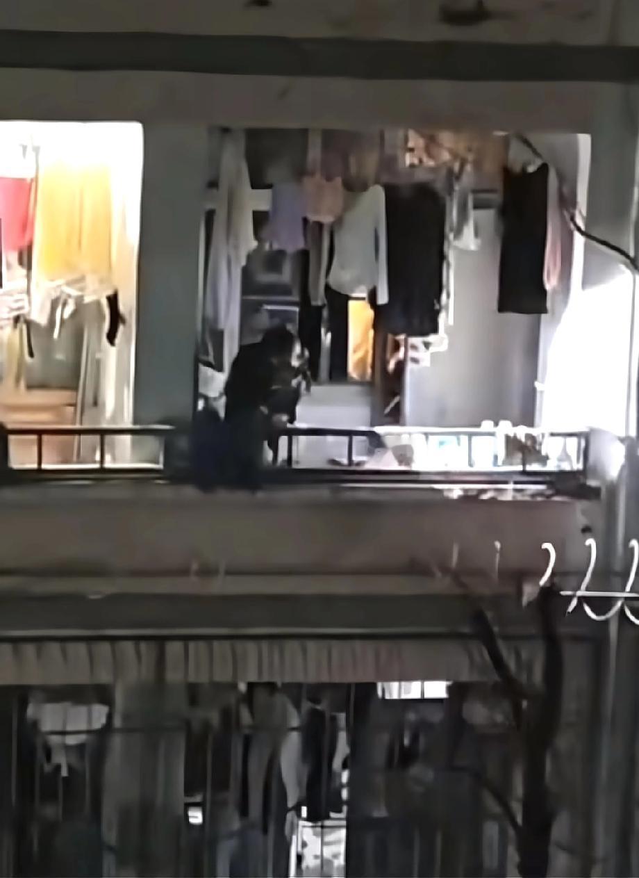 三峡大学开除“摸人”留学生，
并且在二楼安装了防盗网，
请问下，这够吗？比安装防