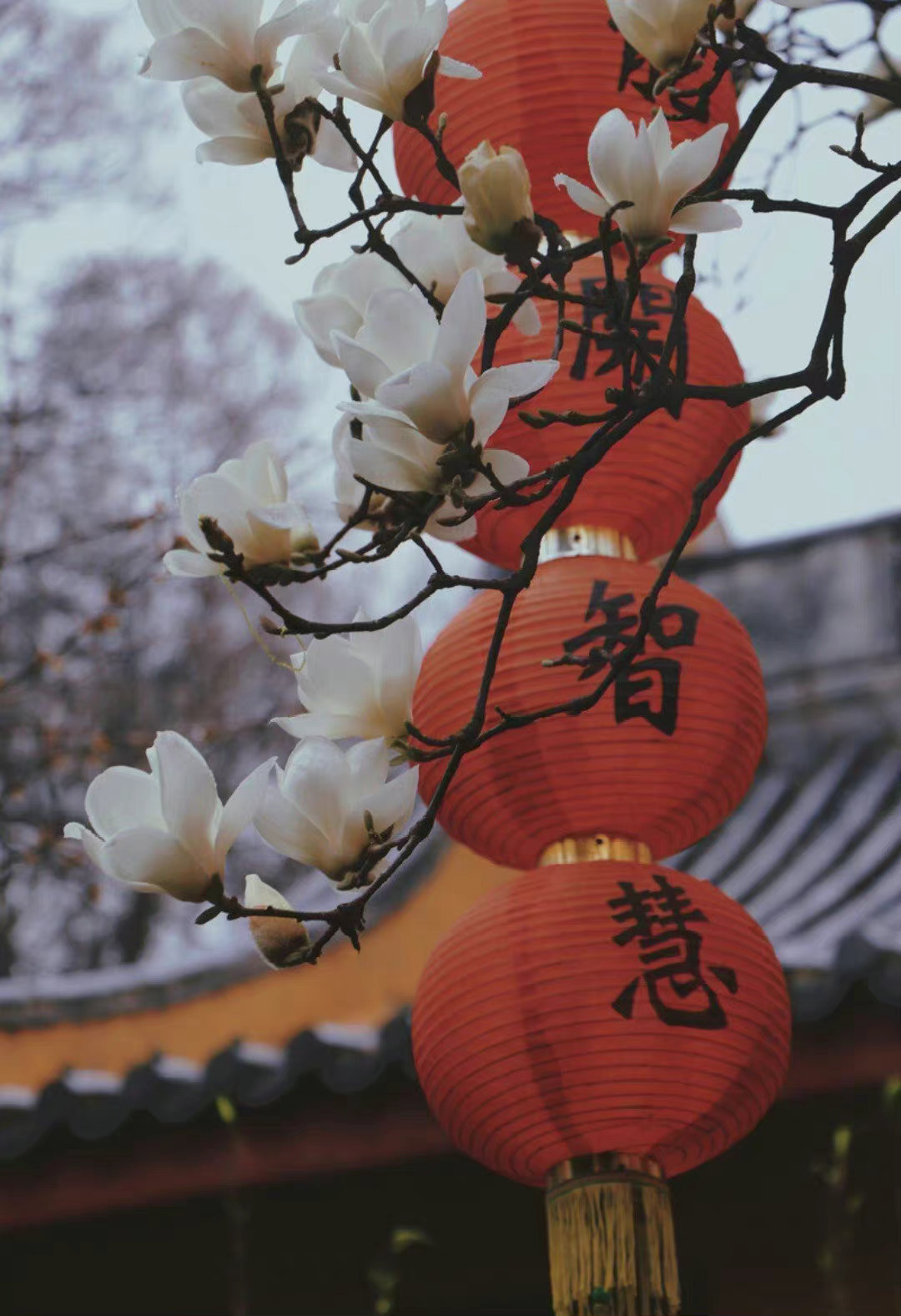 一个人，心念变了，德行就变了；德行变了，气场就变了；气场变了，运气就变了；运气变