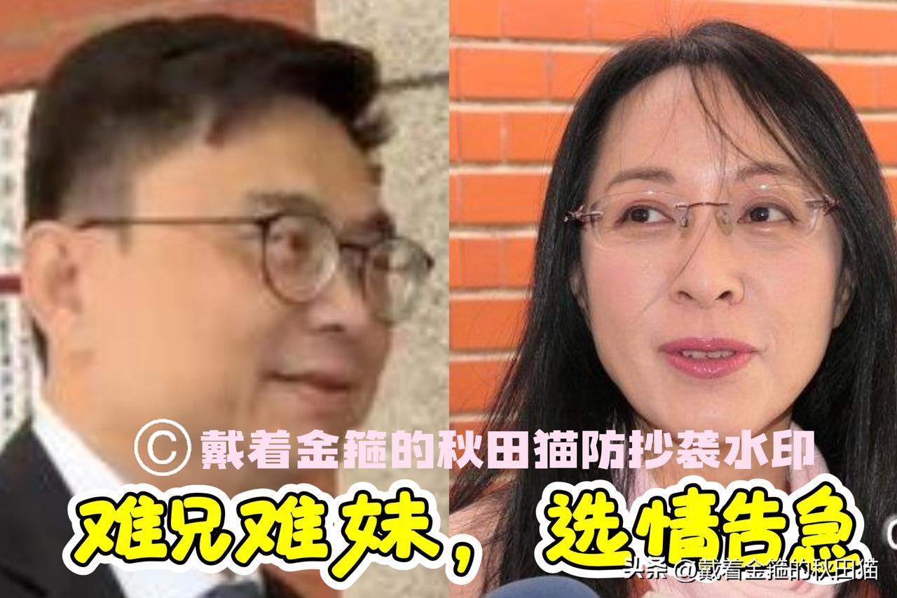 陆委会副手梁文杰随口一句话，台东绿营选情火烧屁股，陈莹脸书被骂热度直逼赖瑞隆～