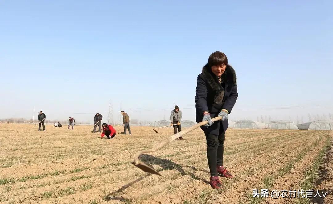 村霸不除，乡村难安，该出重拳彻底整治了，还父老乡亲一个清净日子。
 
村东头的老