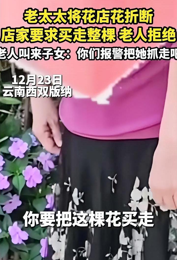 娘俩没一个讲道理的
花店老板被上了一课
西双版纳一花店近期来了位老大妈，进屋左看