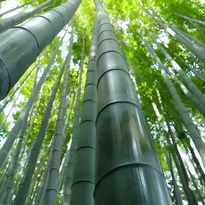 
有些事，
可以看透，
但不要看破；
有些人，
可以看穿，
但不要戳穿……

给