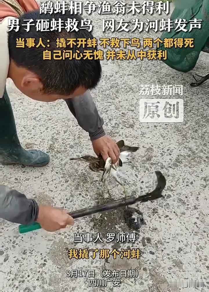 这年头真是好人难做！四川广安一位渔夫以捕捞鳝鱼为生，某天在路上看见现实版的“鹬蚌
