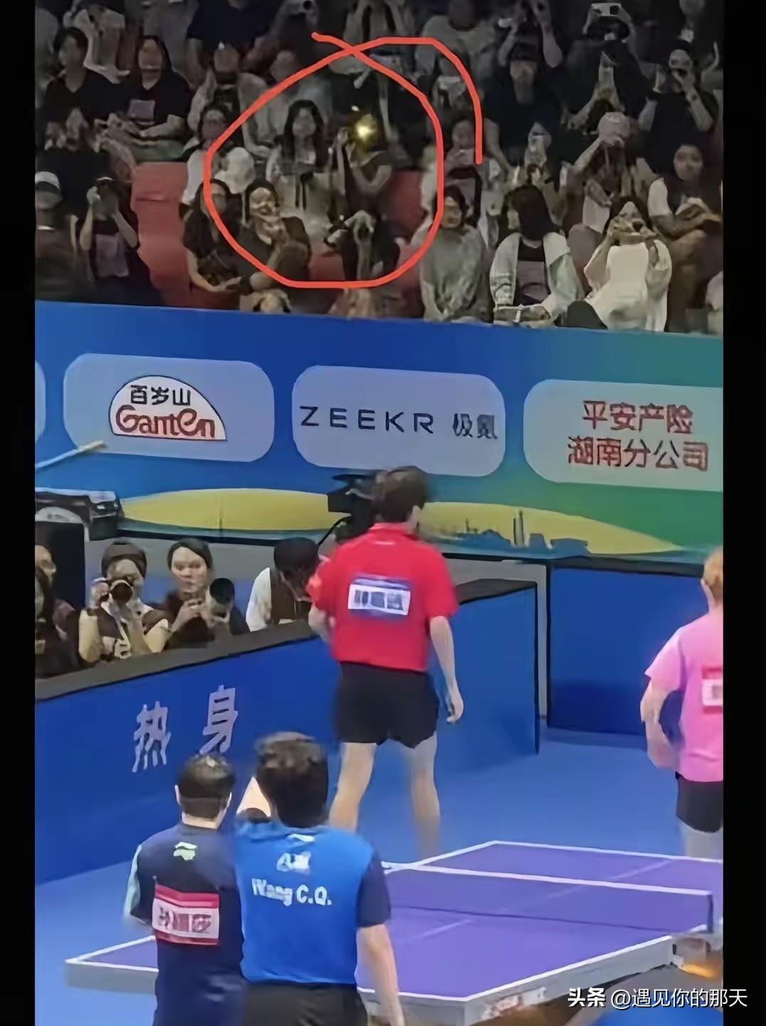 看国乒最戳人的两件事：有人温柔向善，有人默默扛下所有委屈
 
追球这么久，真正打