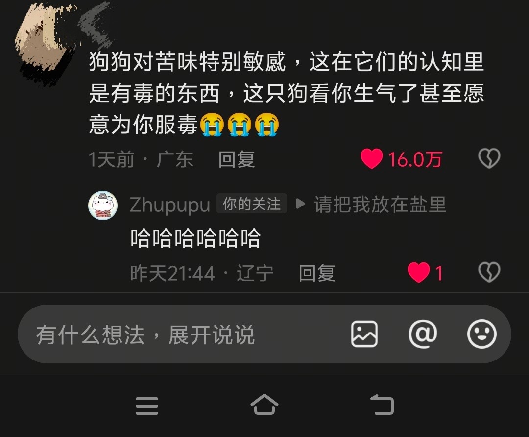 一直在猫猫狗狗的评论区偶遇朱/鹏/宇… 