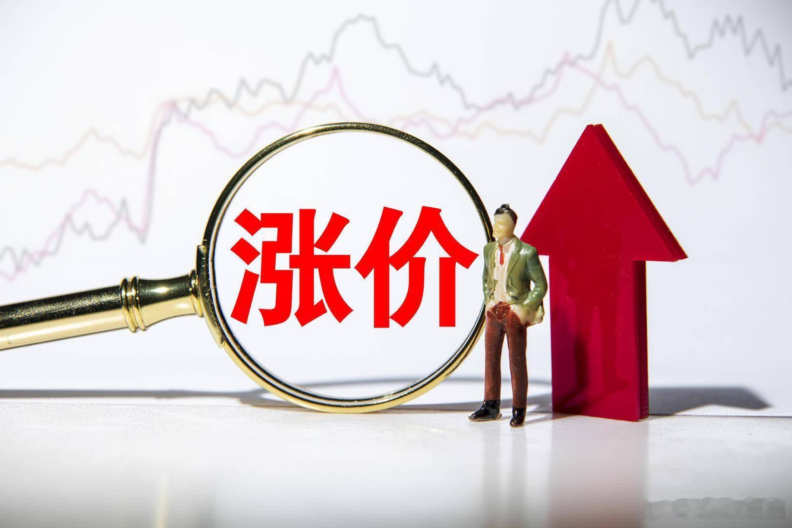 超10家车企宣布涨价  新能源汽车市场风向真变了。之前说什么来着？价格战不可能永