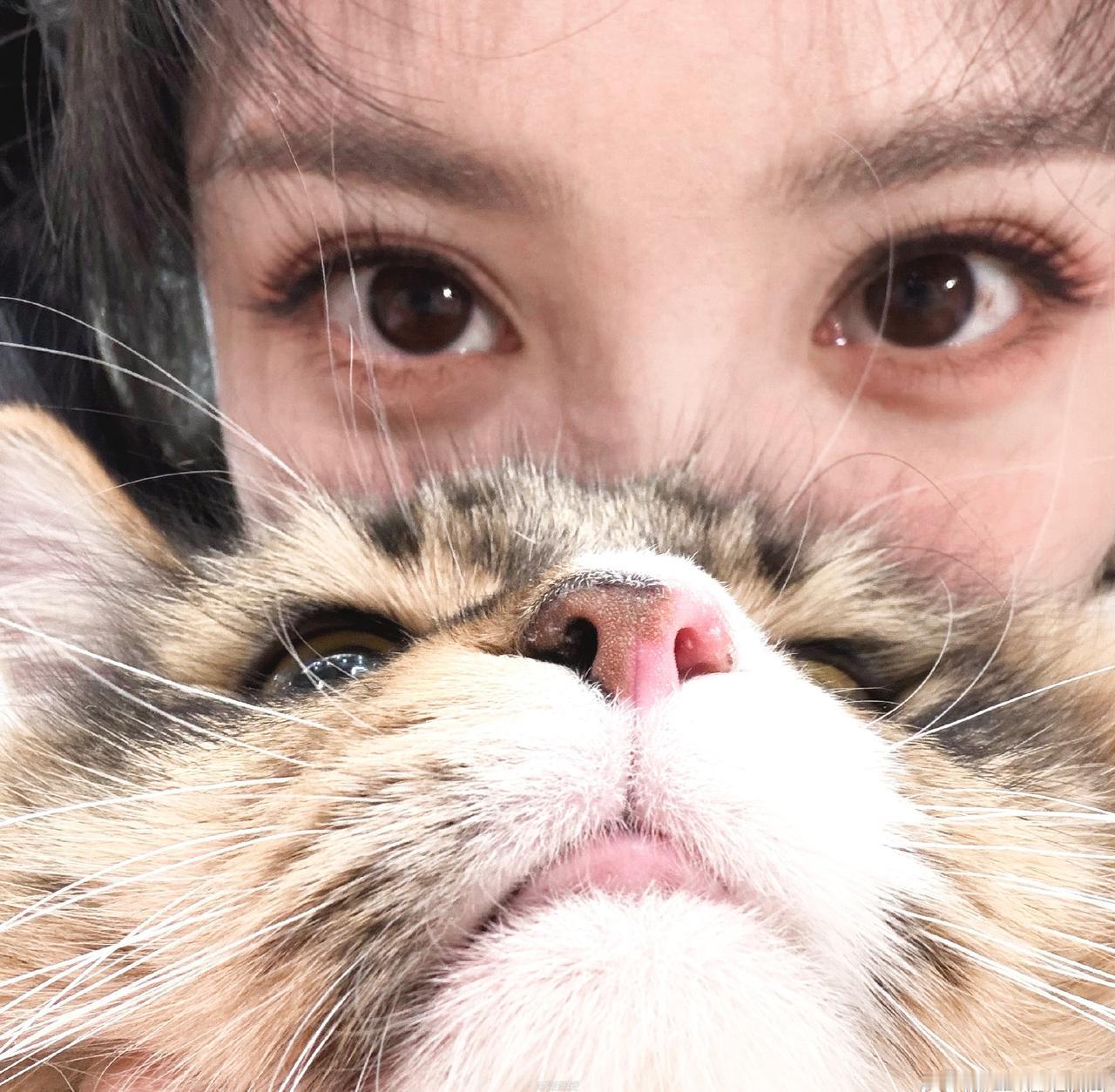 @田曦薇 你的美貌在我心里收藏。比今天的你更好看的只有明天的你！说星星漂亮的人，