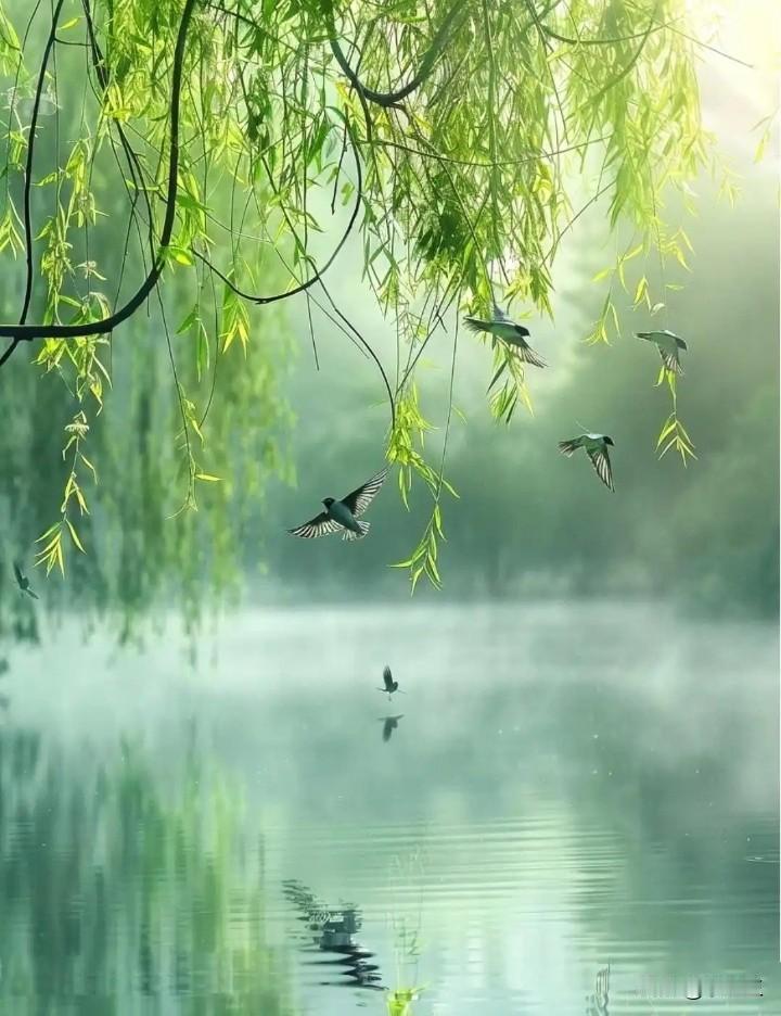 我必须承认，我没什么本事，还是个挺隔路的人。退休金每月才1500元。

所以，退