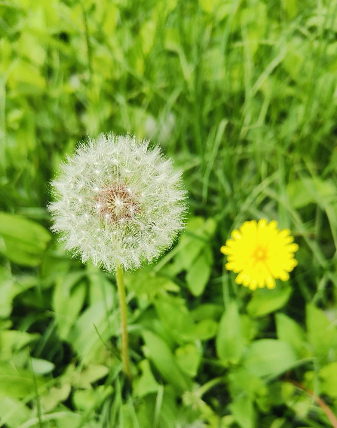我觉得凡是要高价彩礼的，这个家庭的素质太差，她就拿养闺女不容易说事，但是男方养儿
