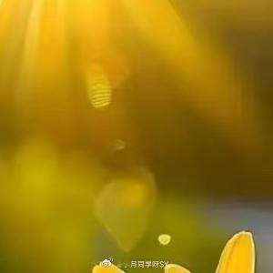 早安心语 早安，全世界。☀️睁开眼，就是新的开始。不用羡慕别人的光芒，你也在自己