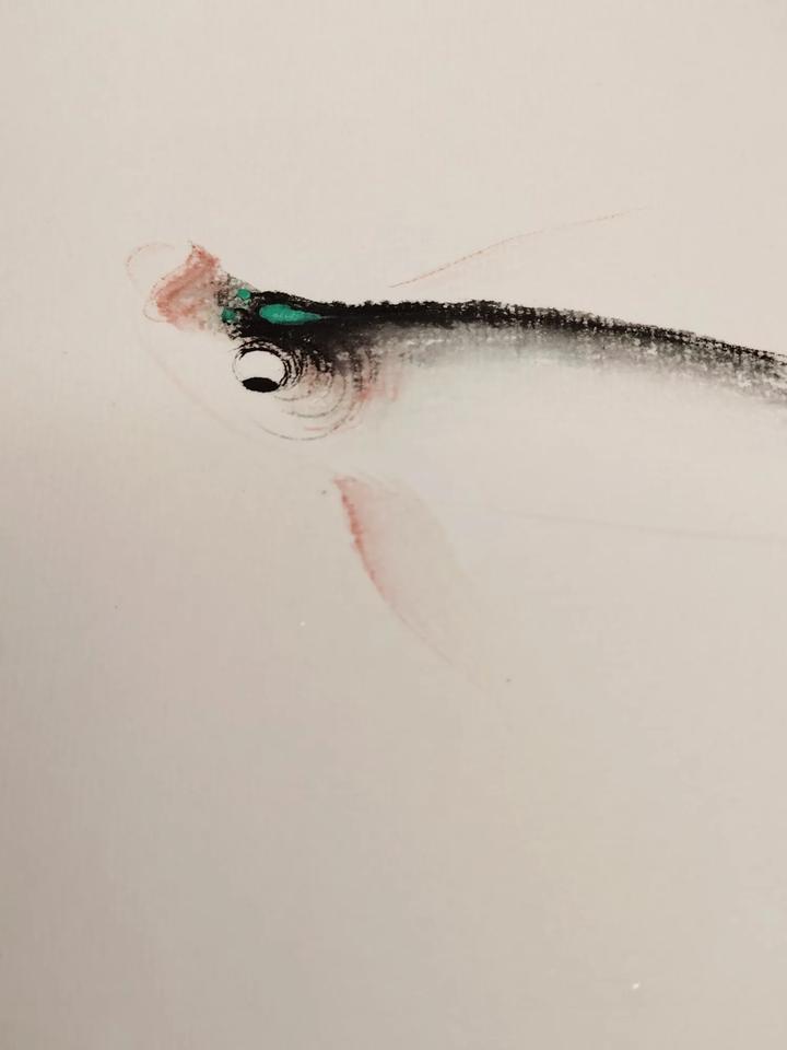 做一条鱼的修养 非子畫魚 @非子画鱼 @国画雅集 @今日头条