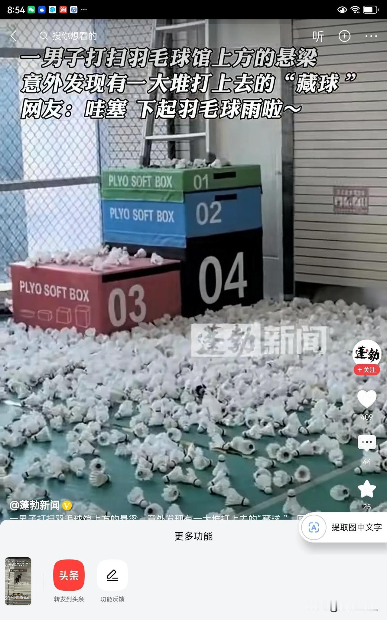 哇！球馆房梁上竟然藏着这么多羽毛球！这可能是平时小朋友在练球的时候打到房顶上去的