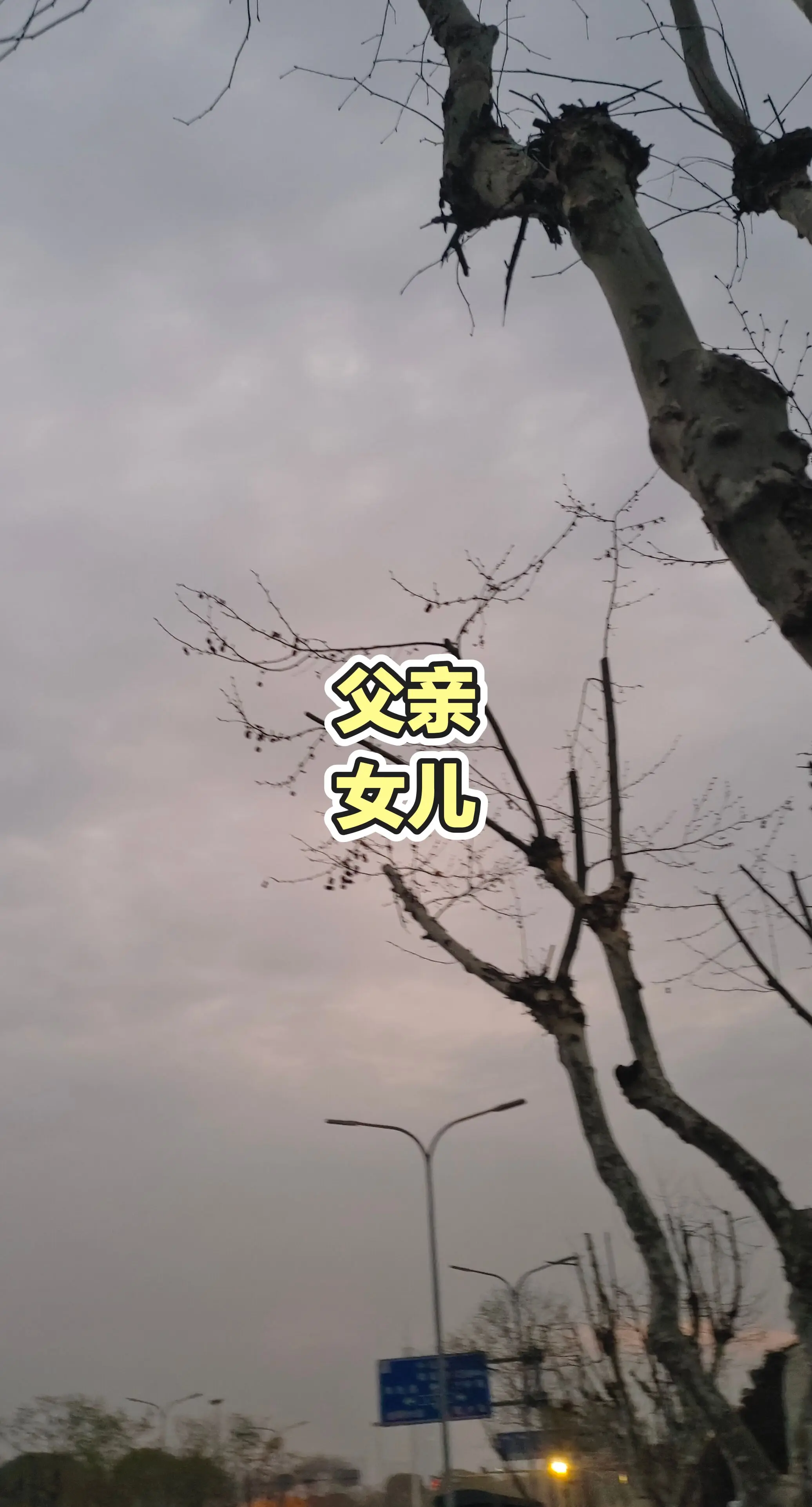 每日分享