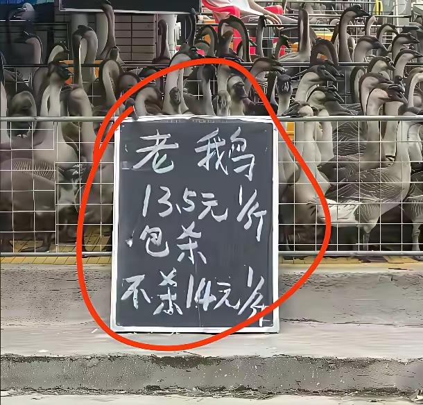 看到这些，
把我搞不懂了。
有知道的吗？