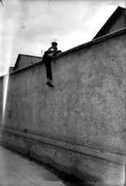 槑东就这样回的糯坎普 ​​​