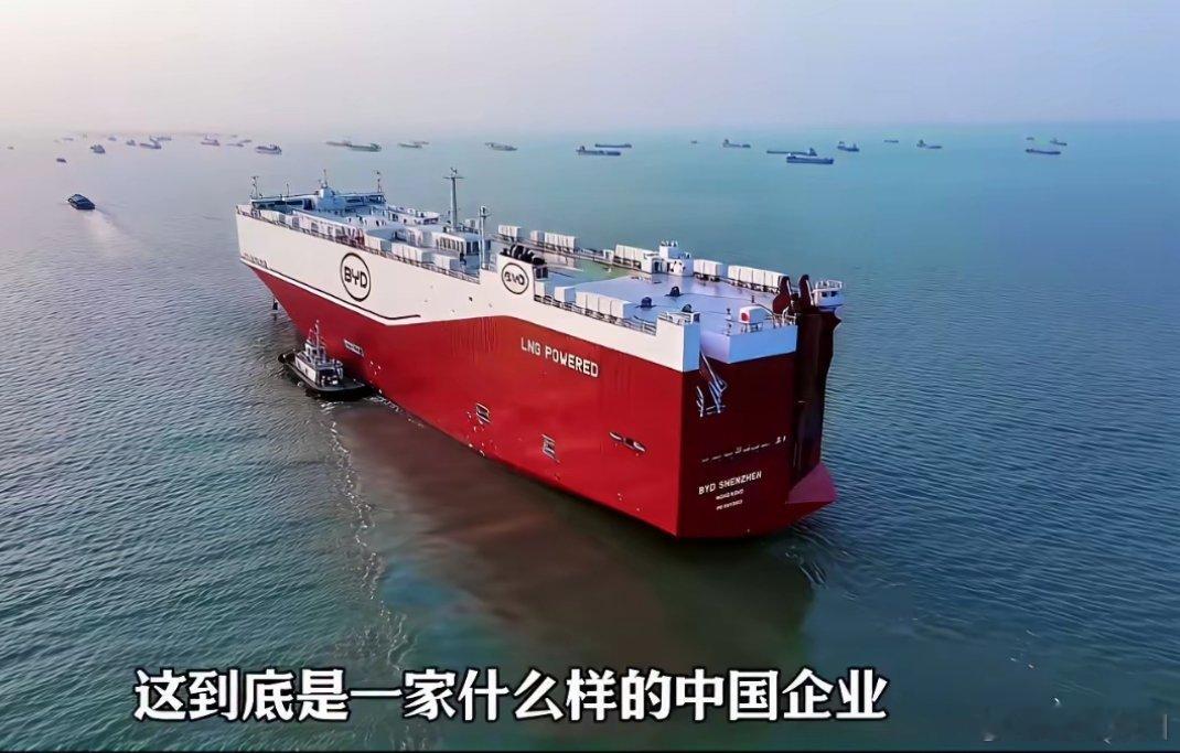 比亚迪的实力堪称行业标杆，不仅构建了“自主开矿—电池生产”的垂直产业链，更布局物