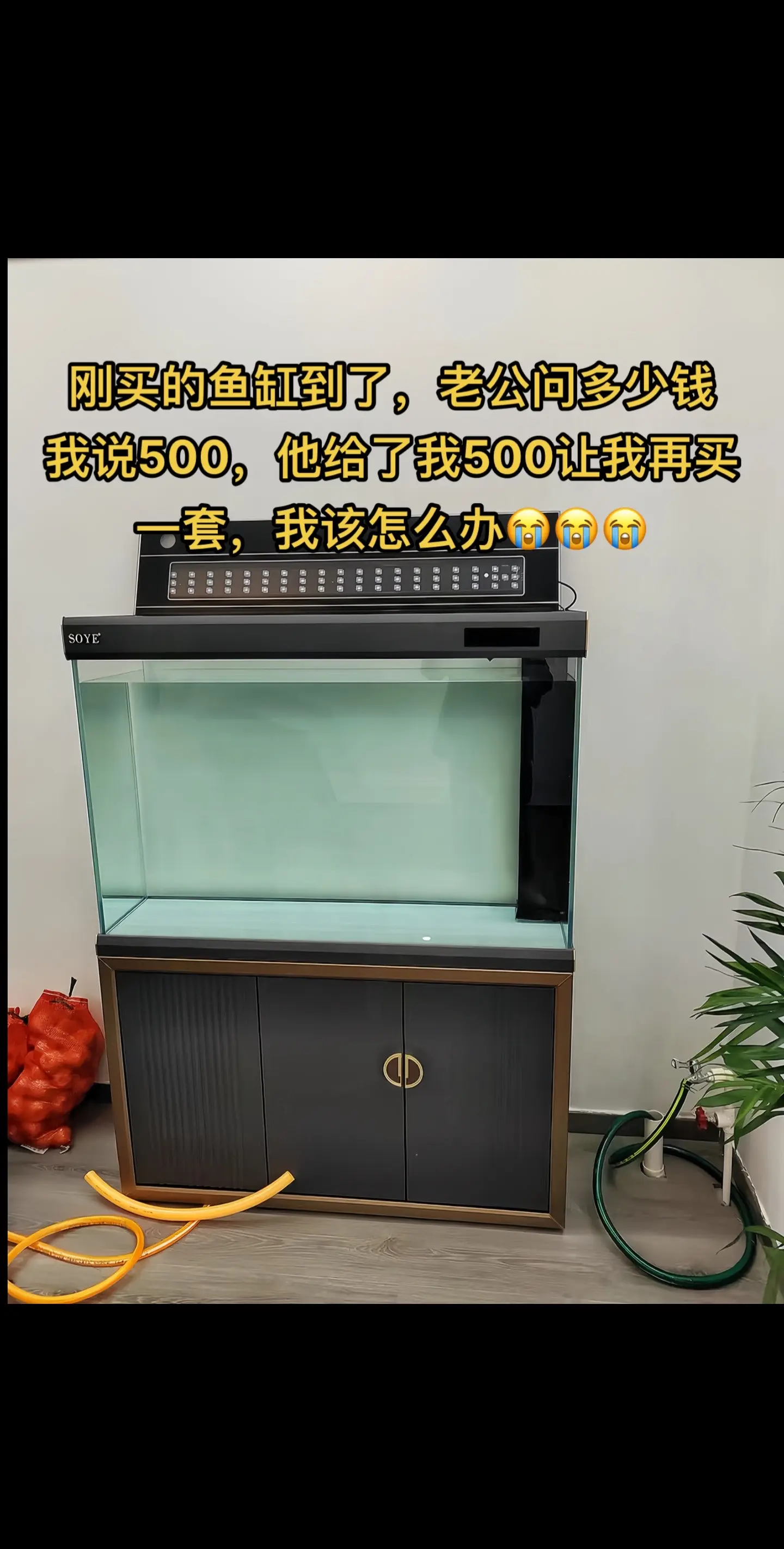 怎么办，500上哪去买鱼缸去