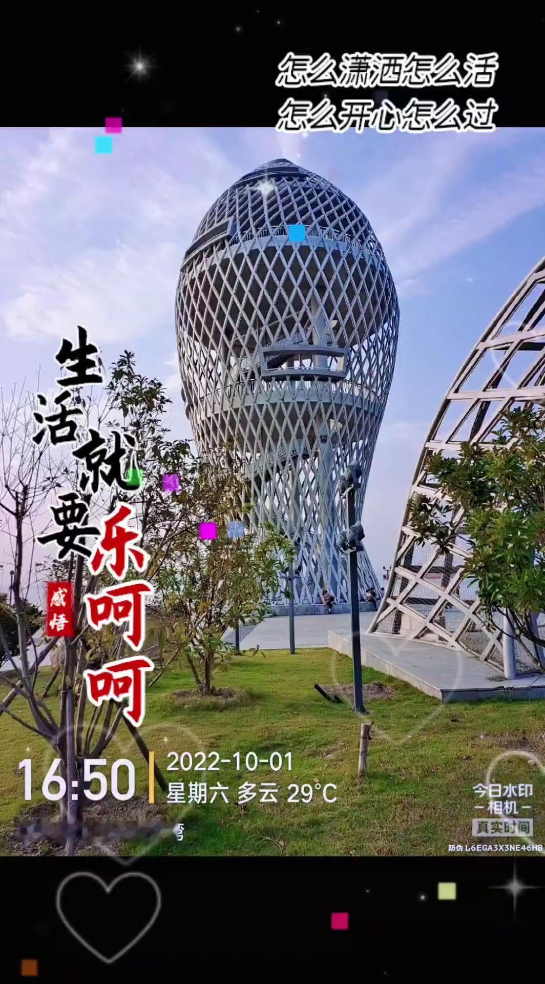 大晚风吹