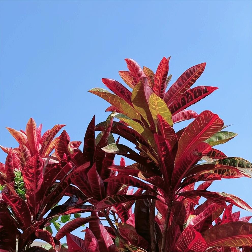 贵州：党纪政务处分2人
 
12月19日10:30，贵州：党纪政务处分2人，分别