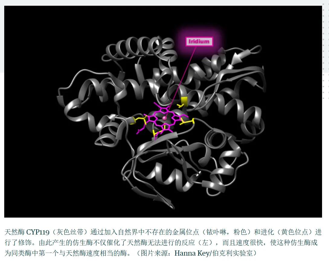 生物酶产品和化学类产品哪个更好?
生物酶产品和化学类产品的简要对比如下：
生物酶