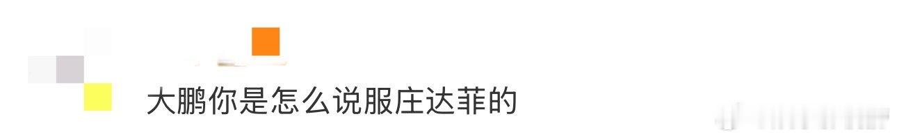 大鹏你是怎么说服庄达菲的 庄达菲这次在电影里美黑演峒人少女，完全打破了我对她以往