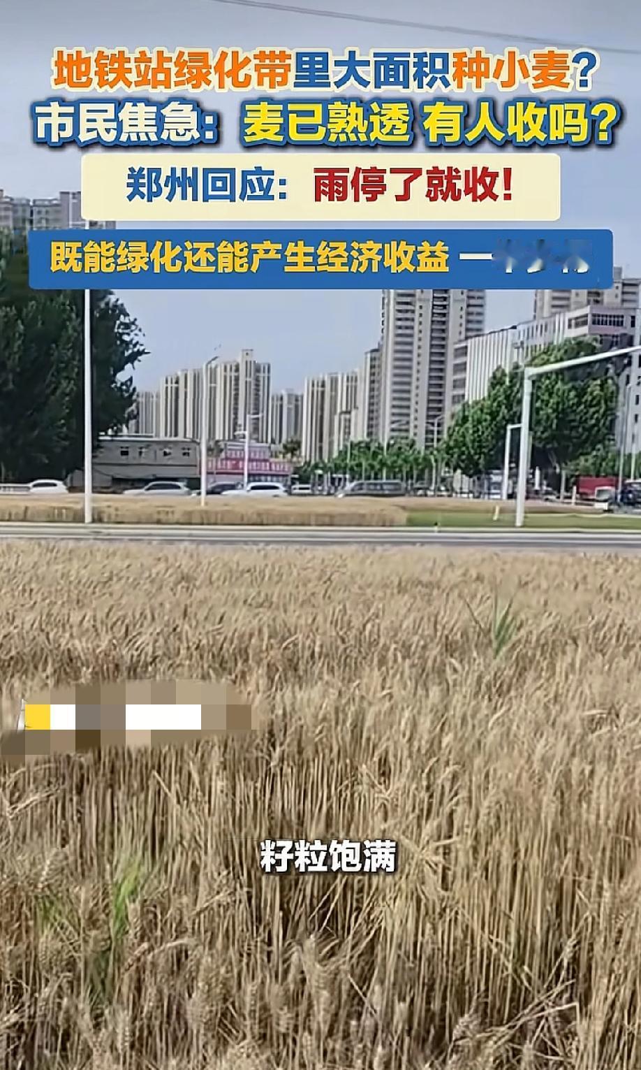 看傻眼了！5月26日，闪电新闻报道，河南郑州地铁8号线省社科院站出口外，大片本该