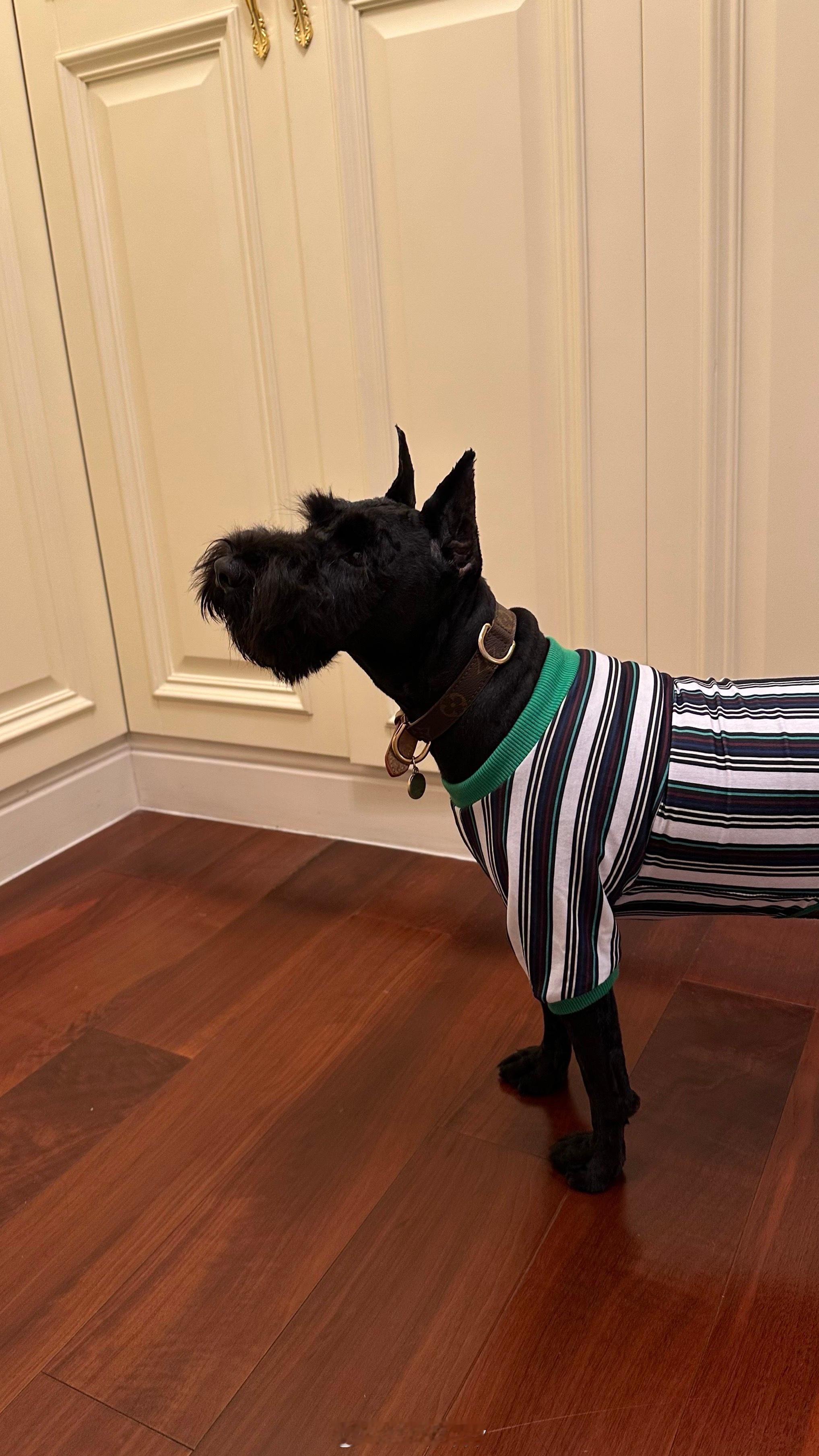 幸福生活 ​​​