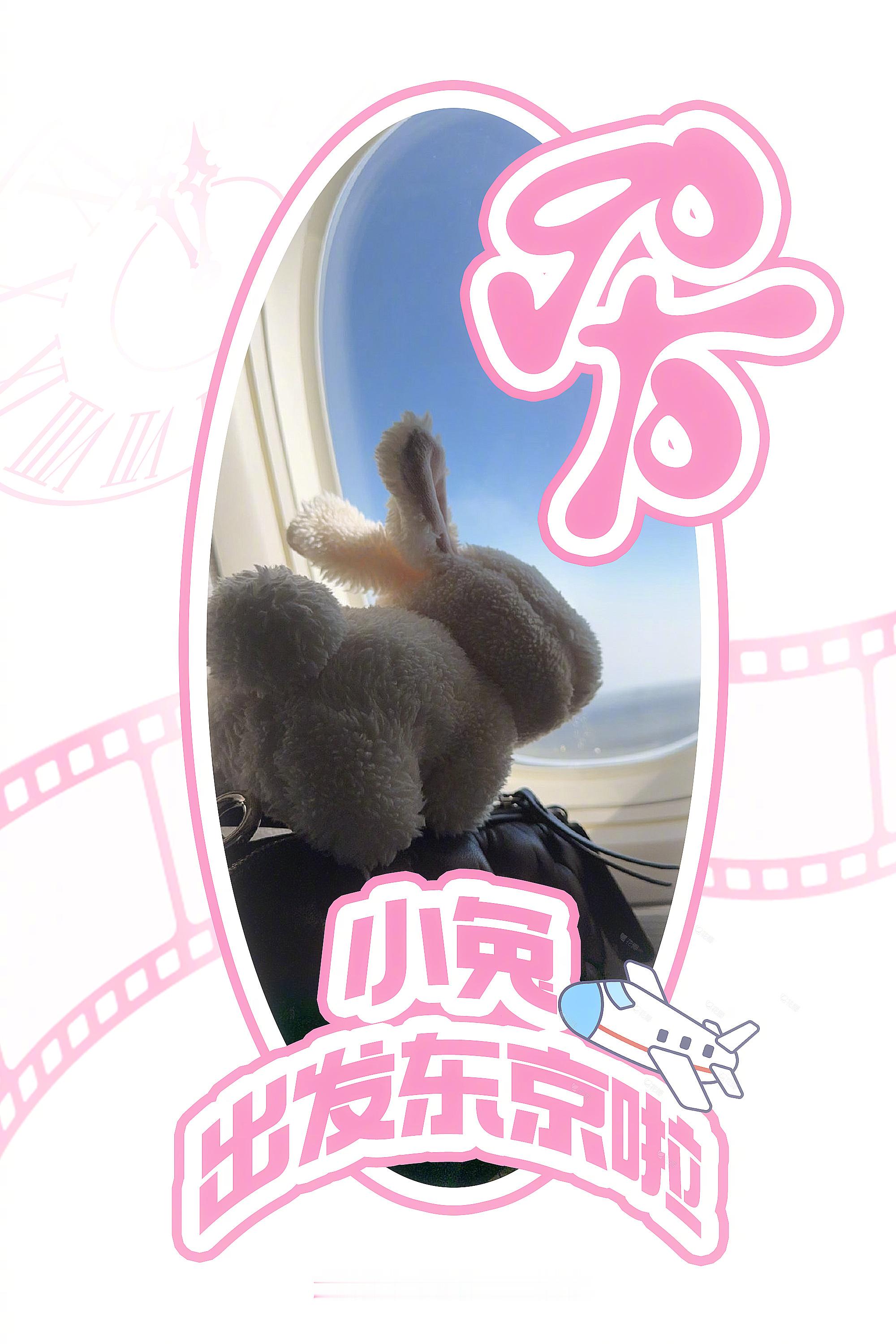 赵丽颖赵丽颖1016生日快乐赵丽颖生日许愿时刻  | 赵丽颖2026生贺 |有时