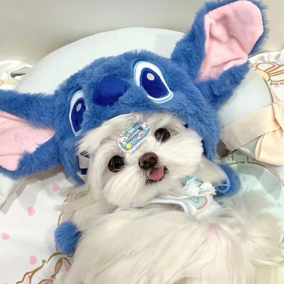 #长期睡前玩手机会付出啥代价#长期睡前玩男朋友会付出什么代价？哈哈哈  今天周五