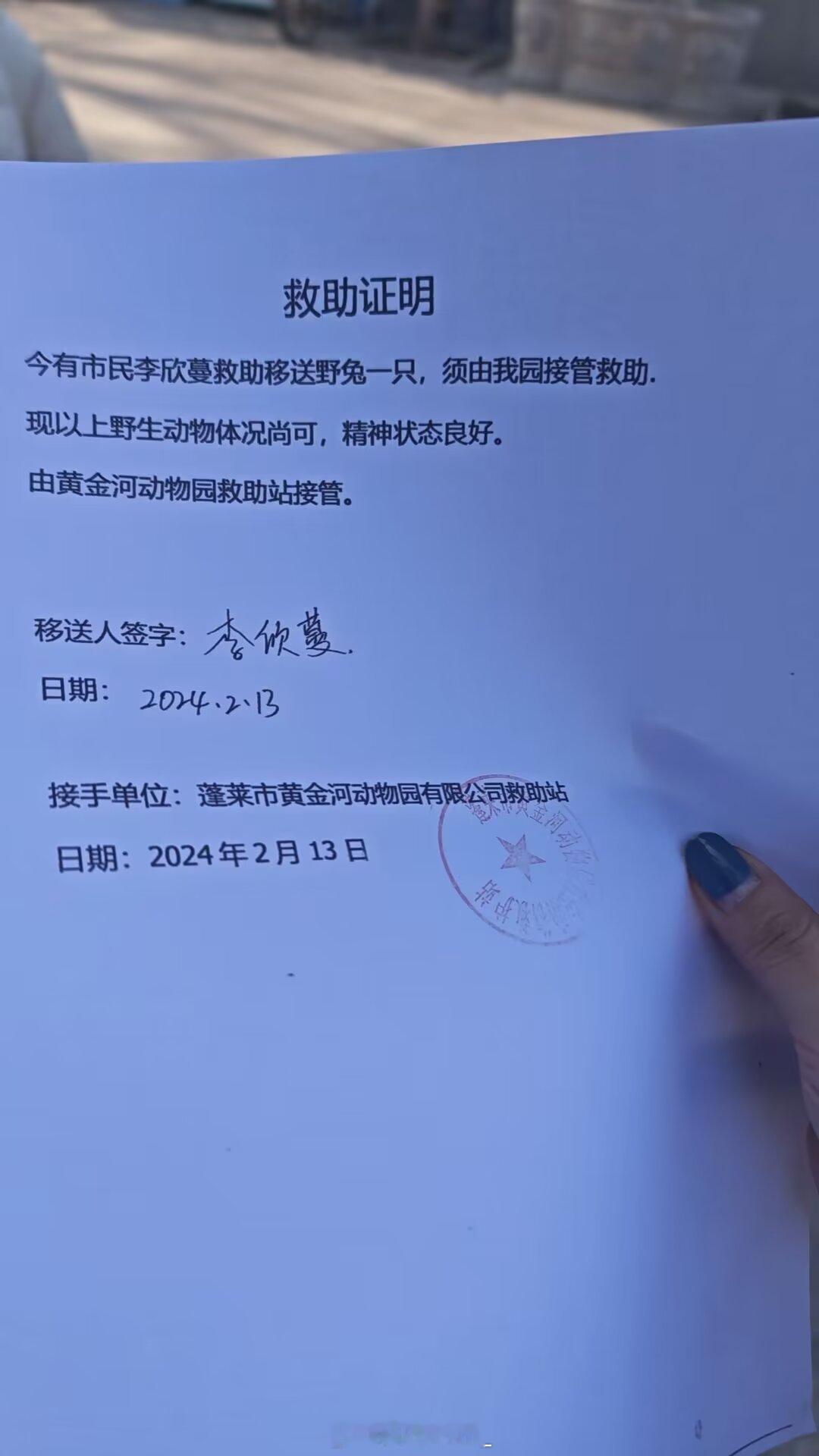 我以前救助的小兔子还会记得我吗？ 说下缘由吧不是抓的，这个兔子还蛮有灵性，好像是