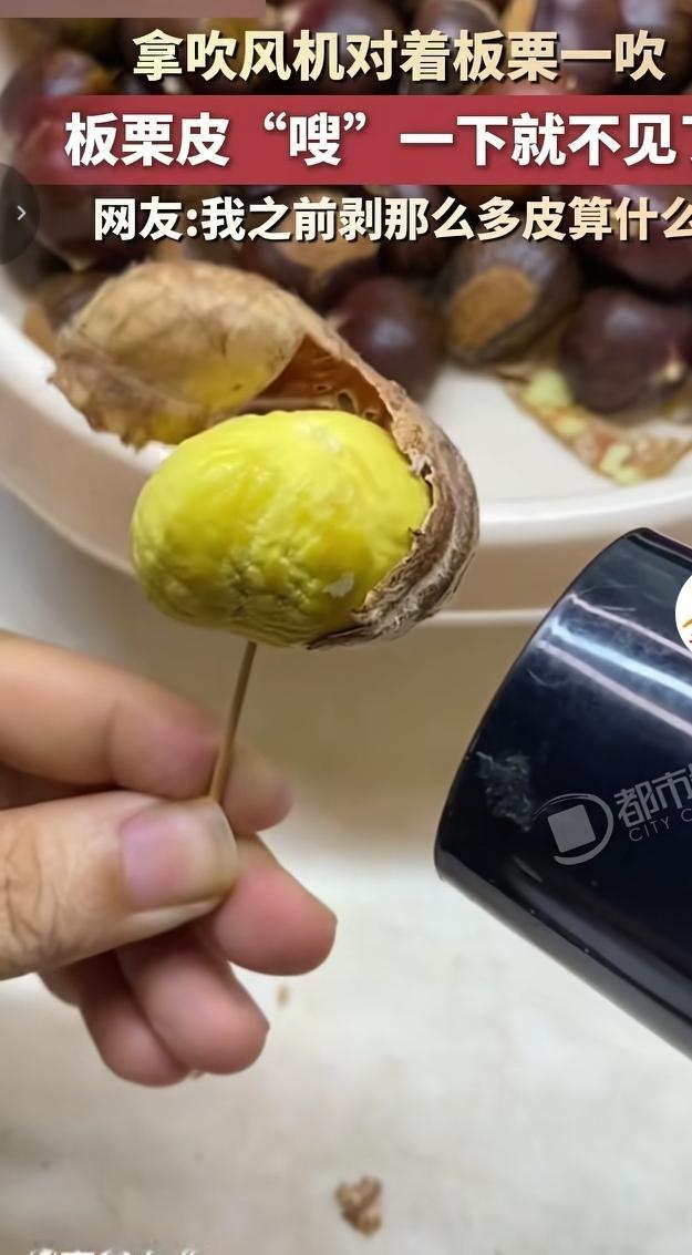 剥板栗的懒人神器居然就是家里的吹风机！把熟板栗开口之后，拿吹风机热风对着一吹，板