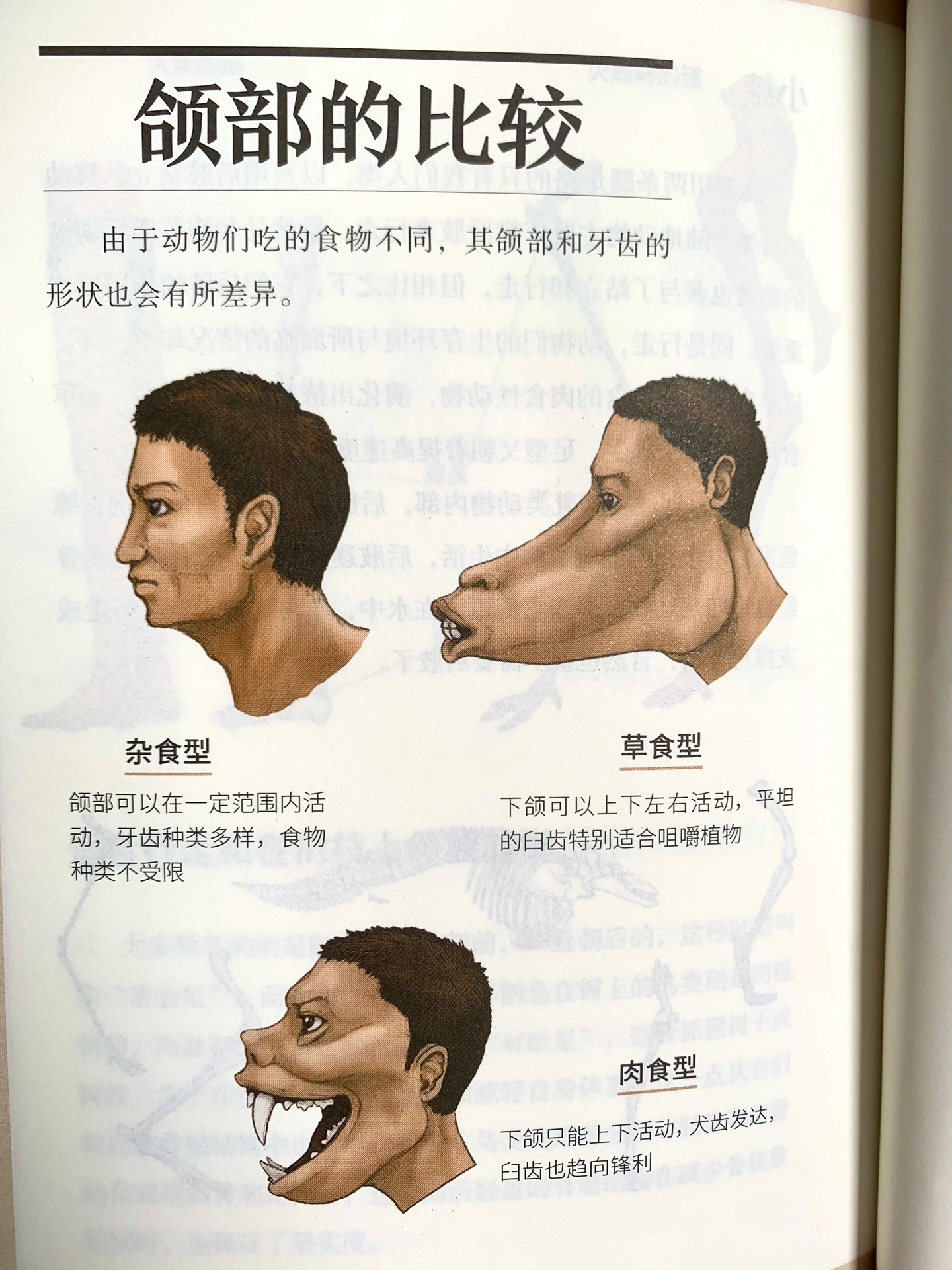 看完这绘本，震惊我全家！ #搞笑# ​​​