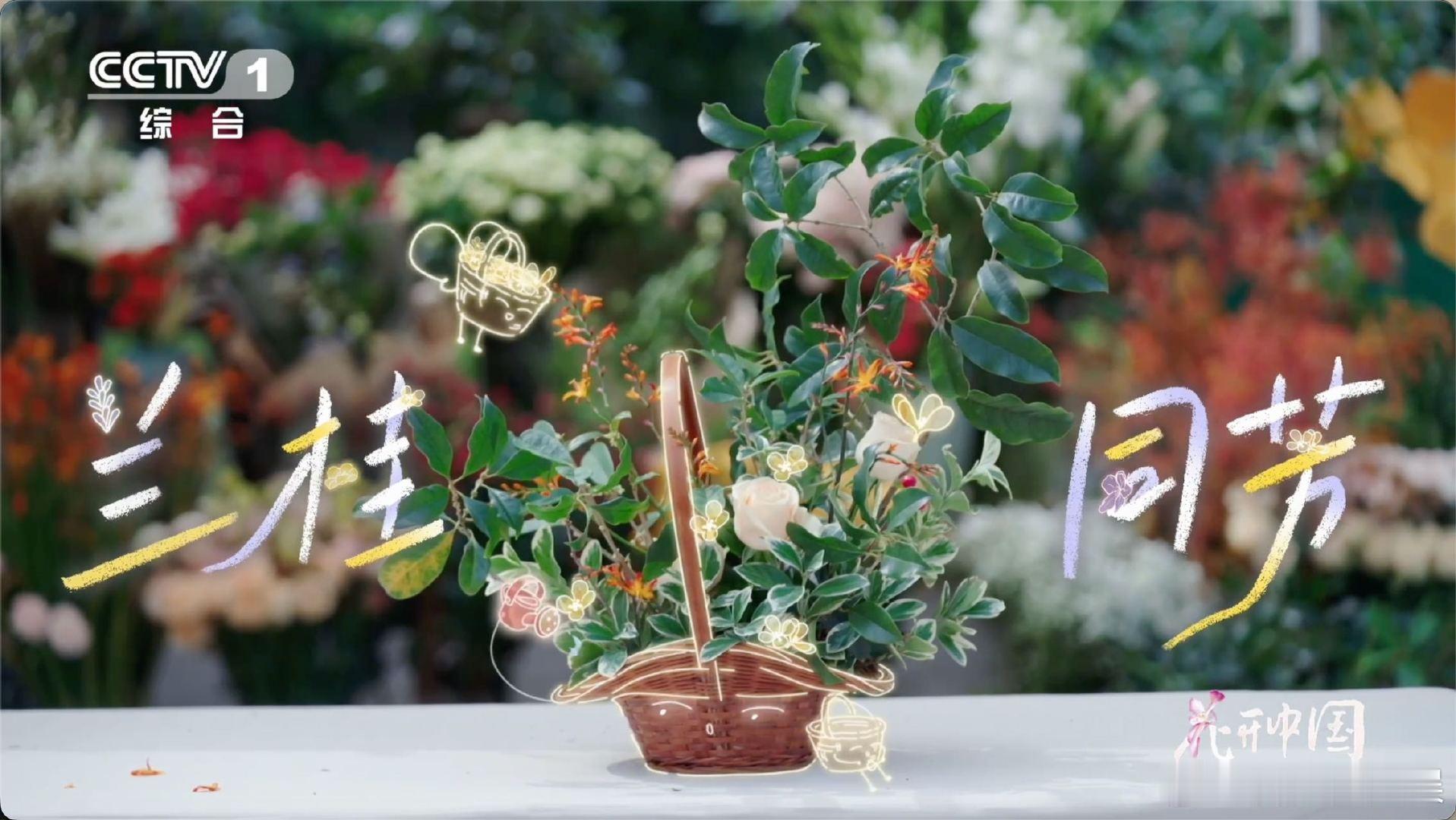 《花开中国》太会科普了！桂花插花在宋朝就风靡，四步就能拿捏中式审美，清冽香气搭配