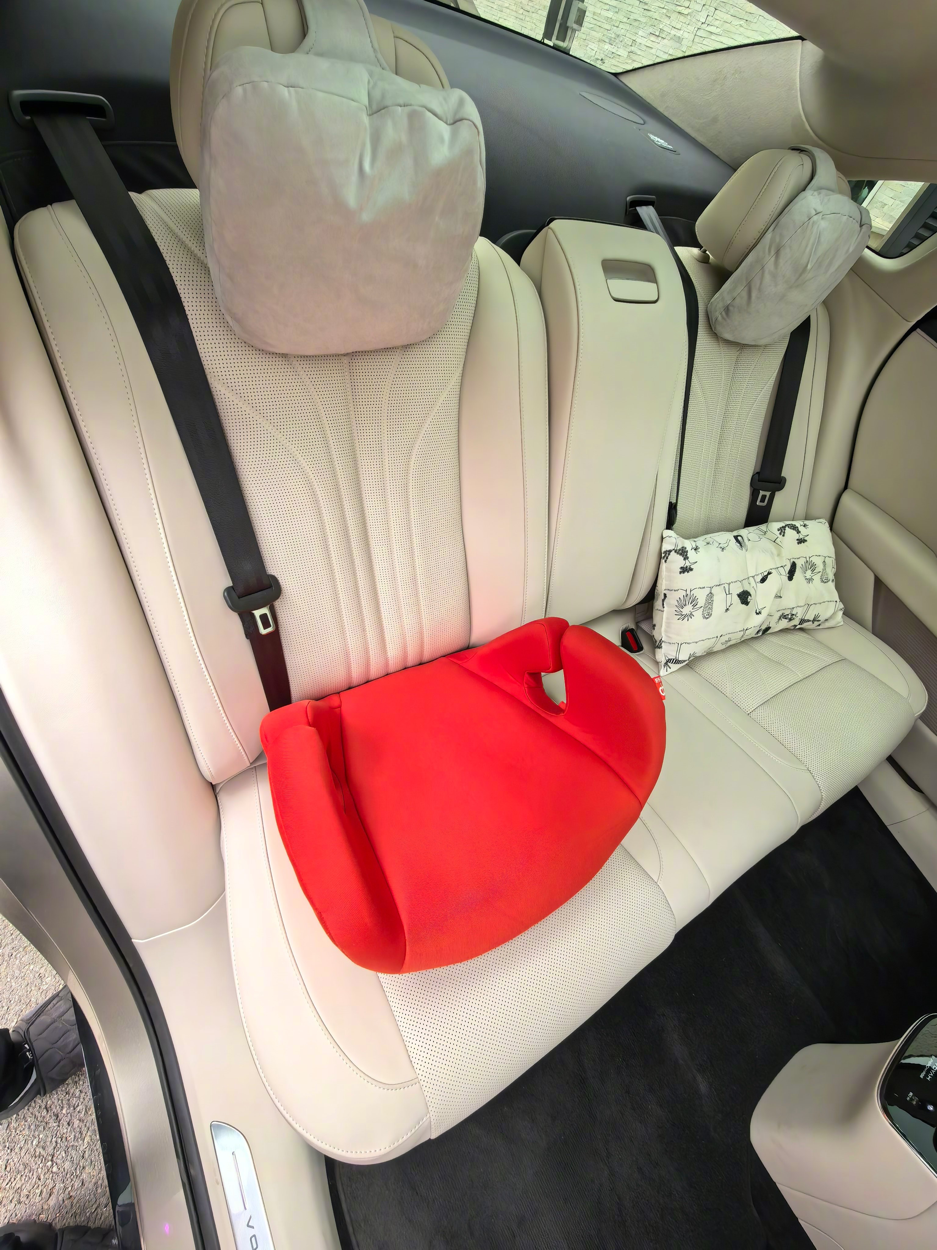 带家人去郊区吃个烤鱼，开的追光L，这个车悬架质感挺好，有厚重感，后轮转向城区里很