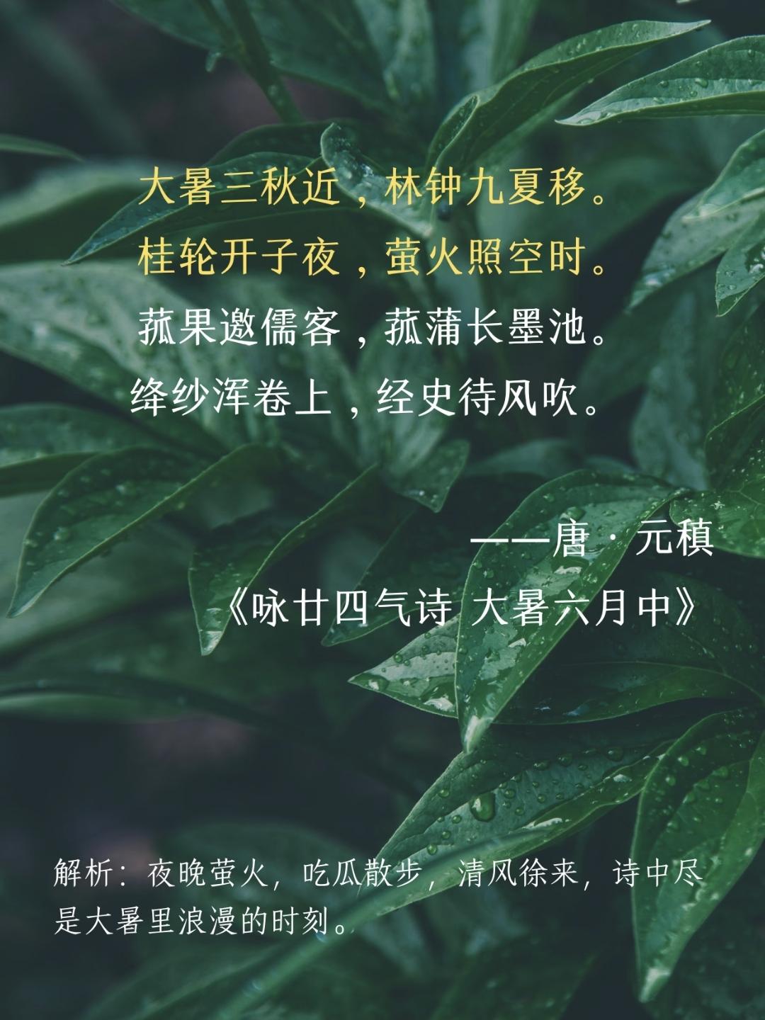 今天给大家分享6首大暑节气古诗，大暑至，盛夏收官，热浪漫过街巷荷塘。蝉鸣阵阵，晚