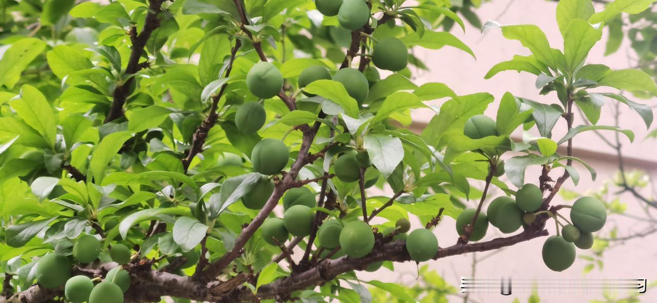 其实一个中年人最憋屈的事，
就是快四十岁了才发现，
自己在一个烂单位里耗了大半辈