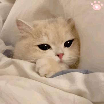 #现在还有谁在看短信#在这个时代选择短信真的很感人，剪短的文字蛮是牵挂和思念，满