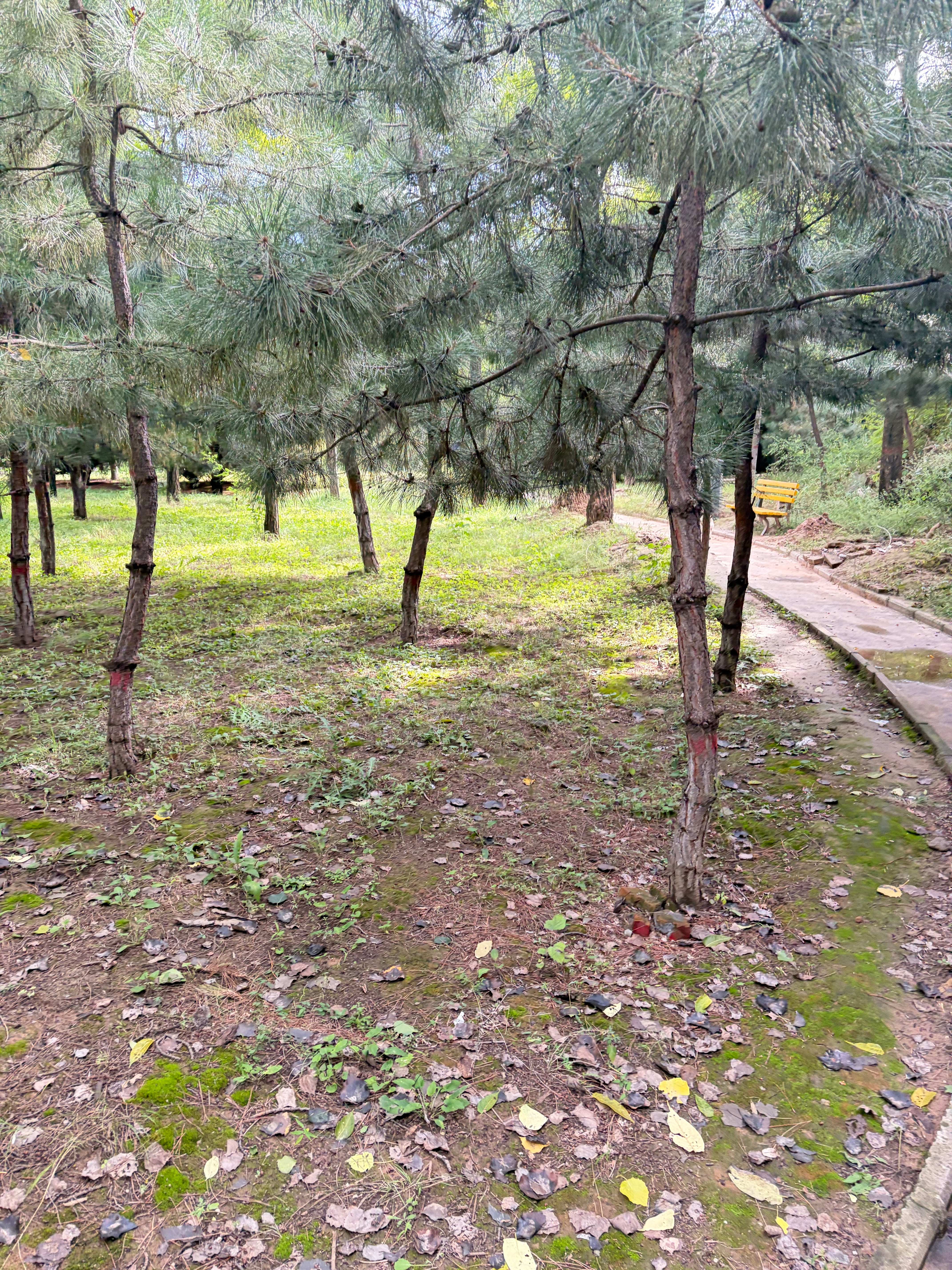 人无信不立，良好阳光信用藏在生活点滴之中。守住许下的约定，按时履约、真诚坦荡，用