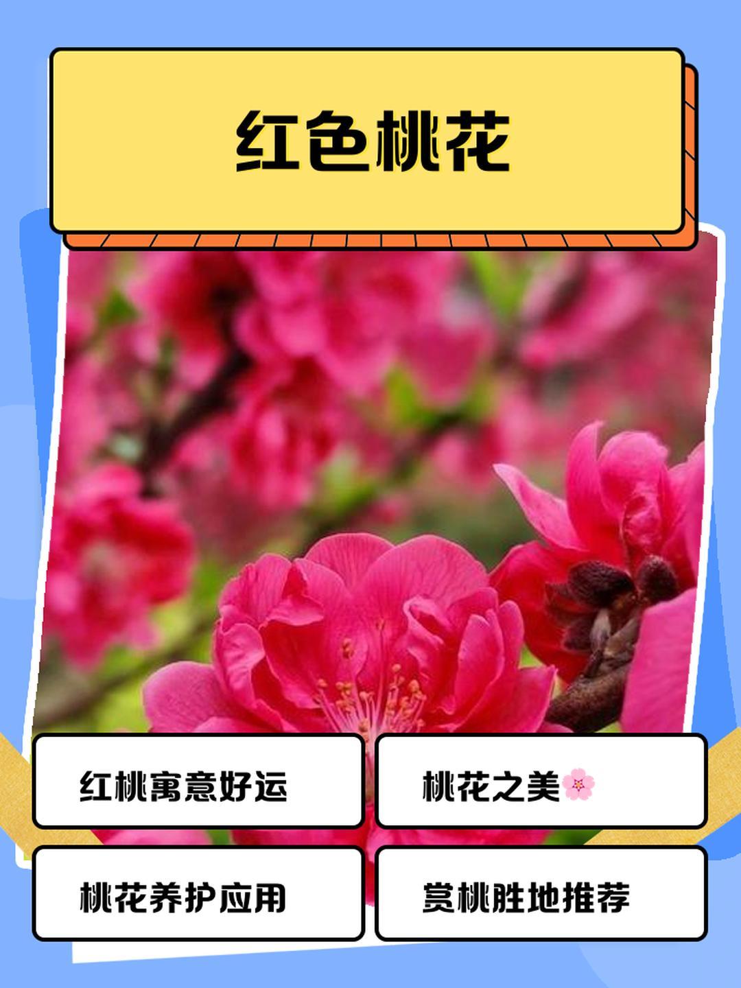 歌声优美，
悦耳乐心！
杨钰莹老师甜奚梦瑶歌唱，
《风含情，水含笑》，
经典笑悠