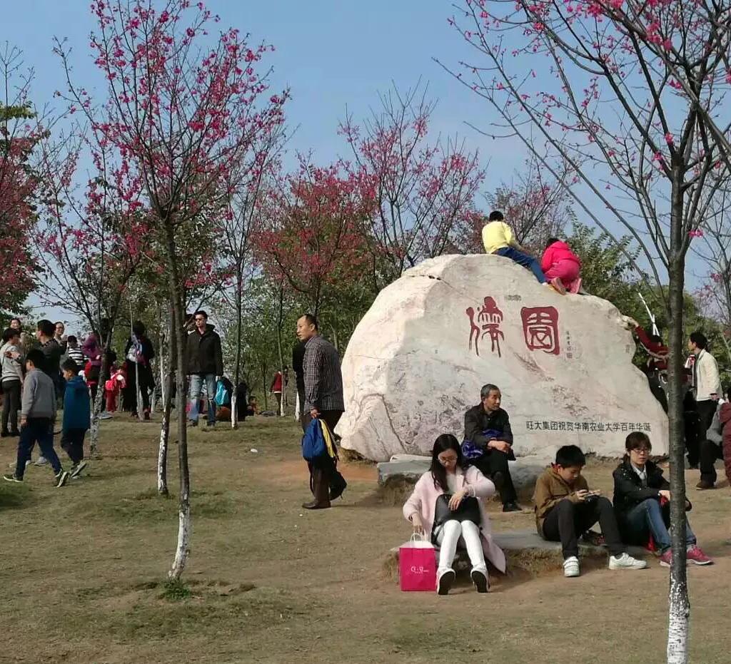 花最少的钱，换来最大的快乐，何乐不为[赞]