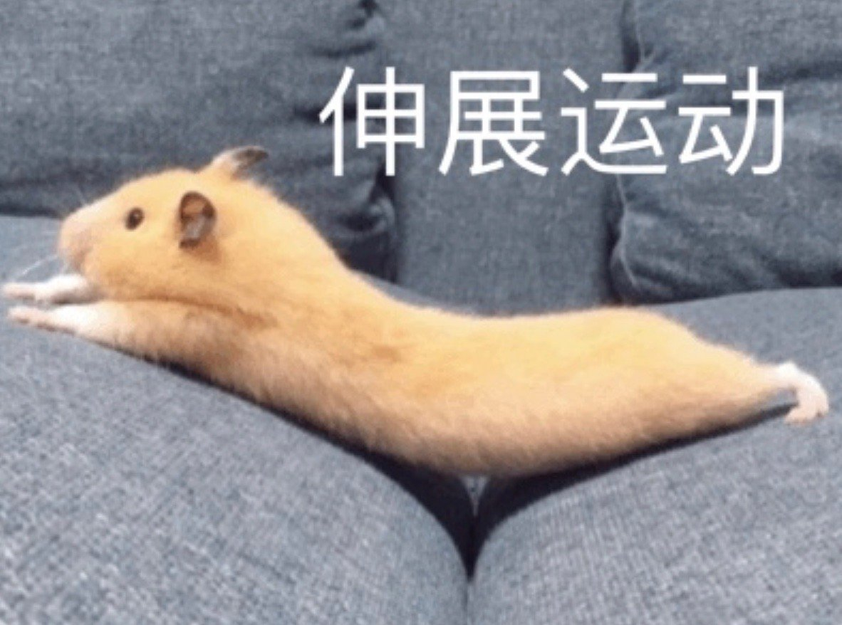 【#带妆运动损害皮肤健康# 】很多健身人士把锻炼当作日常活动的一环，安排在朋友聚