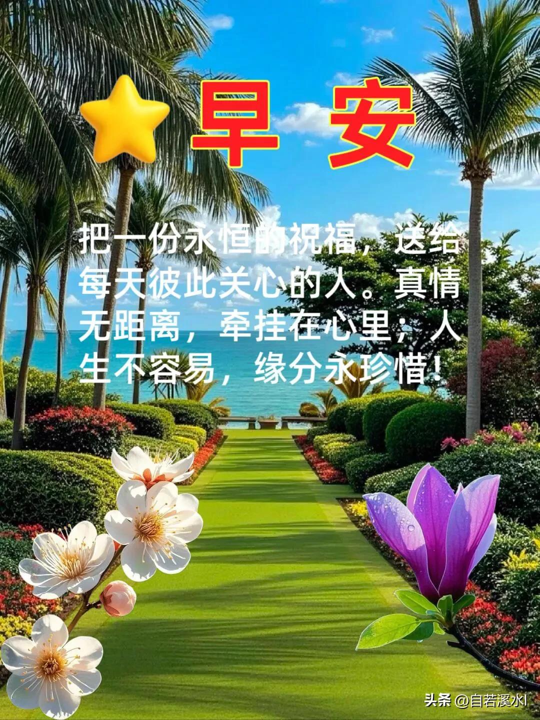 心怀一份淡然，接纳生活的琐碎，守好眼前的安稳，便是最好的光景。
