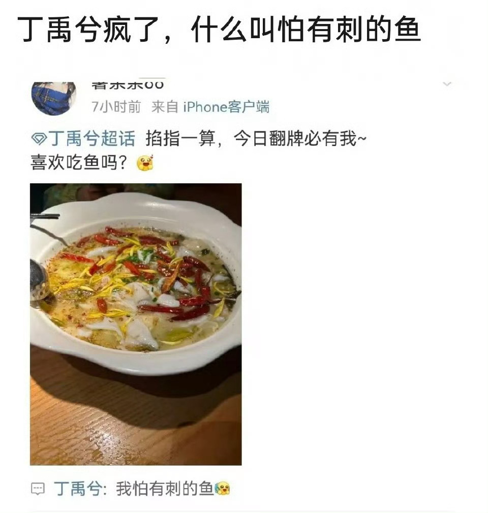 丁禹兮 我怕有刺的鱼 