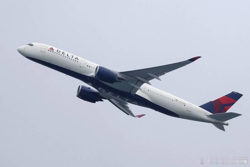 达美航空飞往上海航班突发乘客闹事 客机紧急备降西雅图海外新鲜事 美国达美航空一架