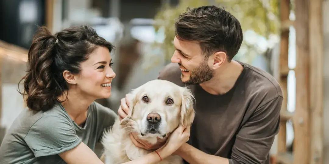 夫妻离婚不争车房，为争一只宠物狗闹上法庭，这件事大家怎么看？
夫妻二人感情破裂闹