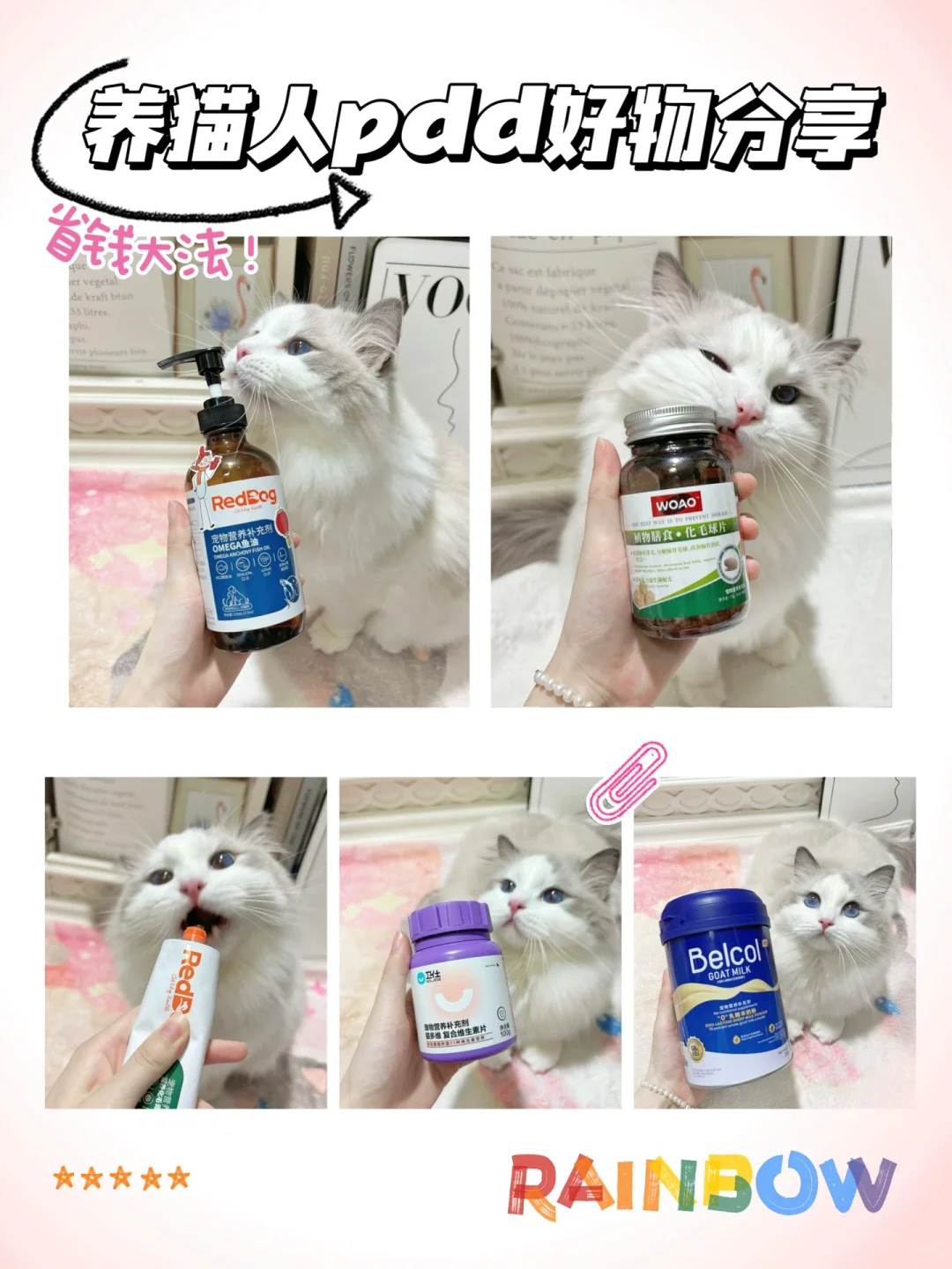 省钱大法！养猫人pdd好物分享